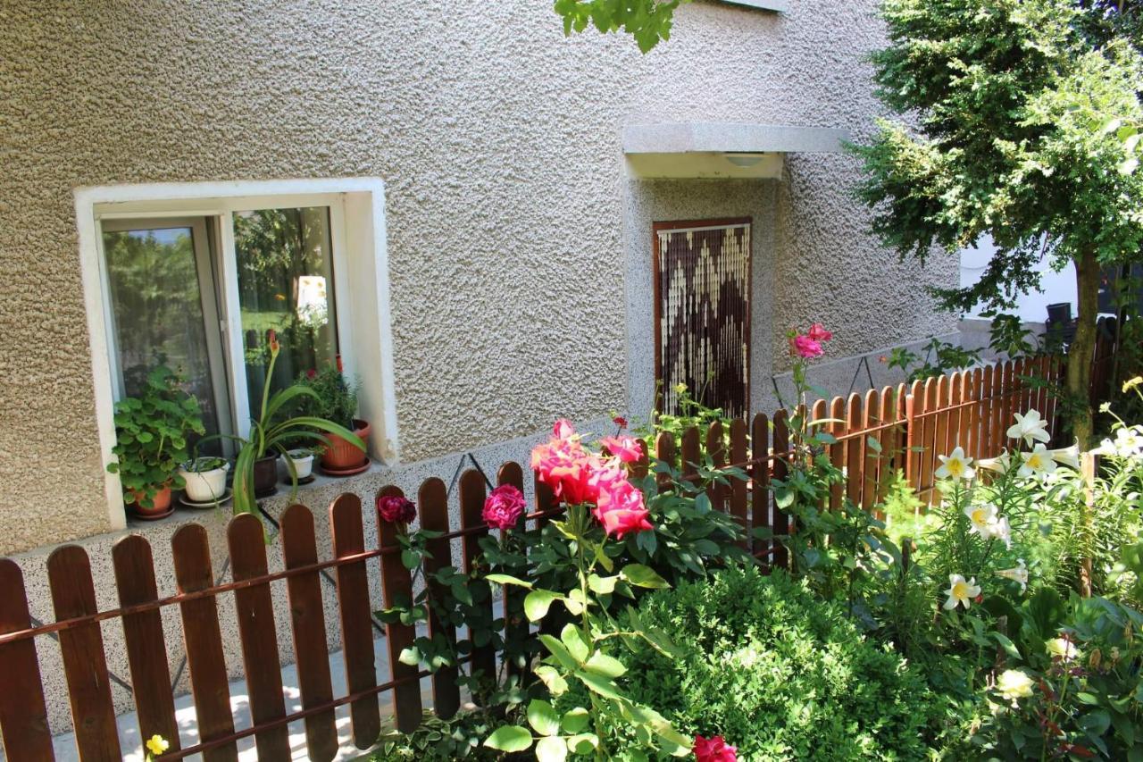 Apartment Raya Sapareva Banya Extérieur photo